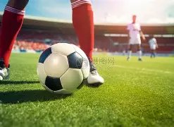 欧亿体育,产品,OUYI,OUYI,Sports,欧亿体育,体育直播,体育赛事,APP下载,官方网地址